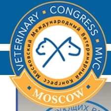 card-image