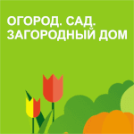 card-image
