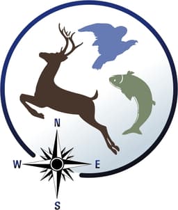 card-image