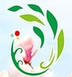 card-image