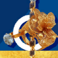 card-image