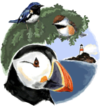 card-image