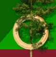 card-image