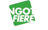 Lingotto Fiere
