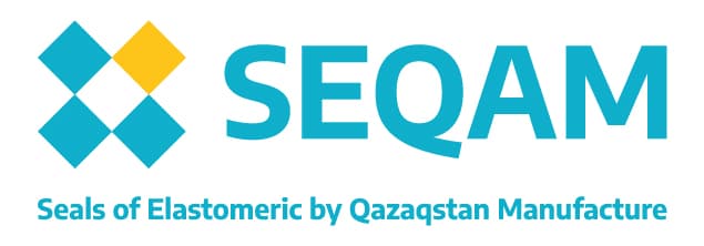 Дамир Газизов