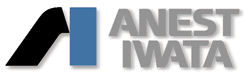 Anest Iwata