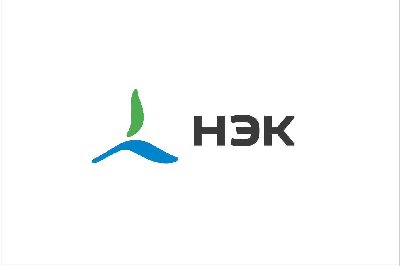 НЭК, ООО Новая Энергетическая Компания