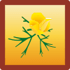card-image