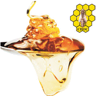 card-image