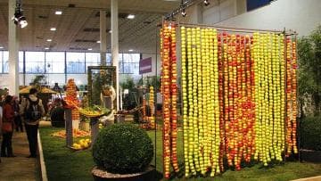 Маршруты Берлинской зеленой недели